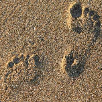 env-footprint